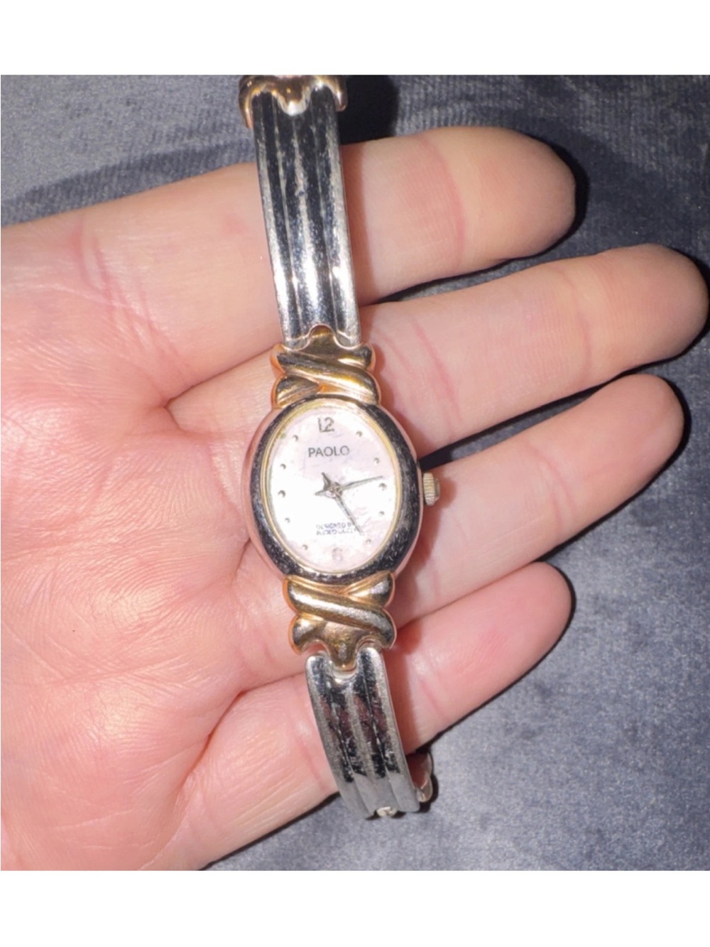 Paolo Silver Stainless Steel Watch Back Plate
